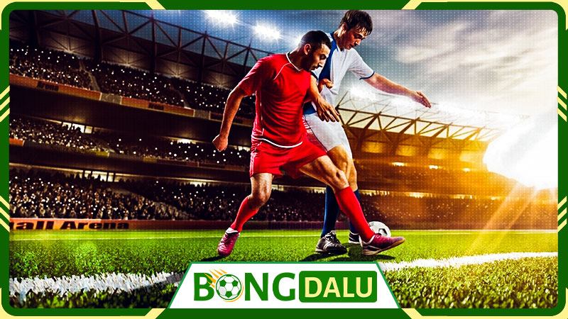Ưu điểm của Bongdalu so với các web dữ liệu bóng đá bình thường